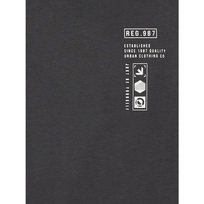 LCW Kids Antrasit Bisiklet Yaka Erkek Çocuk Tişört