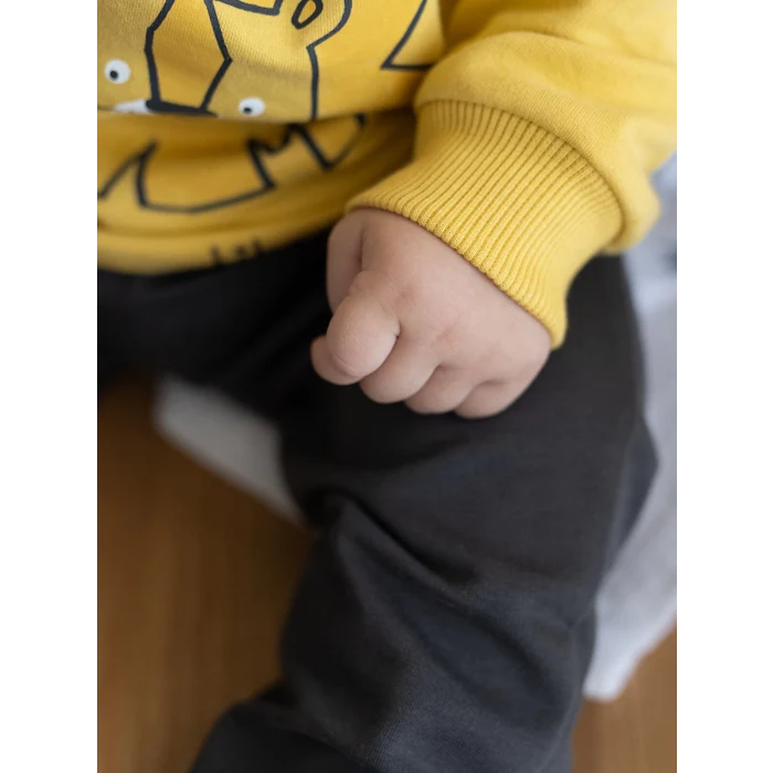 LCW baby Sari Bisiklet Yaka Uzun Kollu Baskılı Erkek Bebek Sweatshirt ve Eşofman Alt 2li Takım