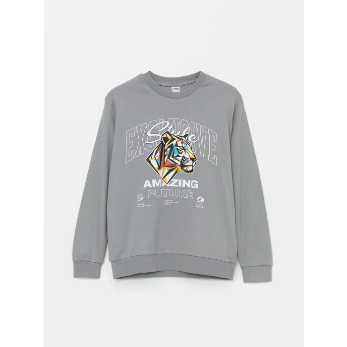 LCW Kids Gri Bisiklet Yaka Baskılı Uzun Kollu Erkek Çocuk Tişört