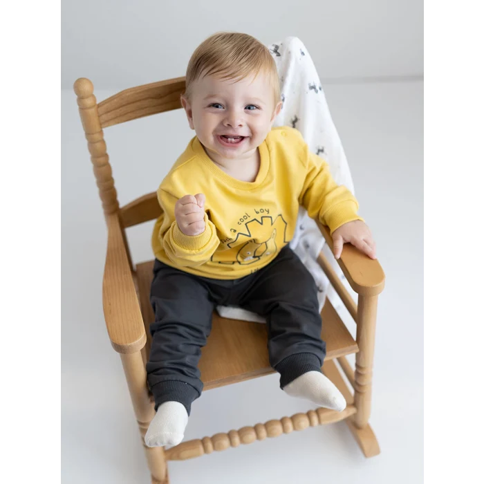 LCW baby Sari Bisiklet Yaka Uzun Kollu Baskılı Erkek Bebek Sweatshirt ve Eşofman Alt 2li Takım