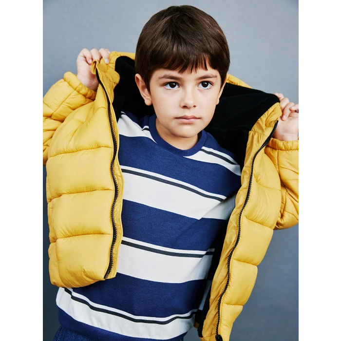 LCW Kids Bej Bisiklet Yaka Uzun Kollu Çizgili Erkek Çocuk Sweatshirt