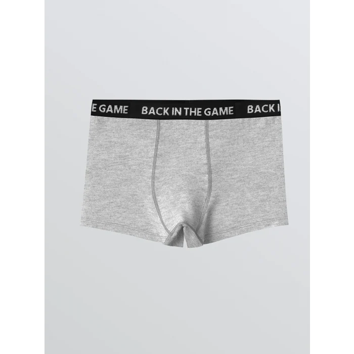 LCW Kids Gri Baskılı Erkek Çocuk Boxer 3lü