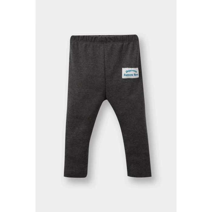 Defacto F1594A5GR52 Gri Erkek Bebek 2li Takım Araç Baskılı Sweatshirt Alt