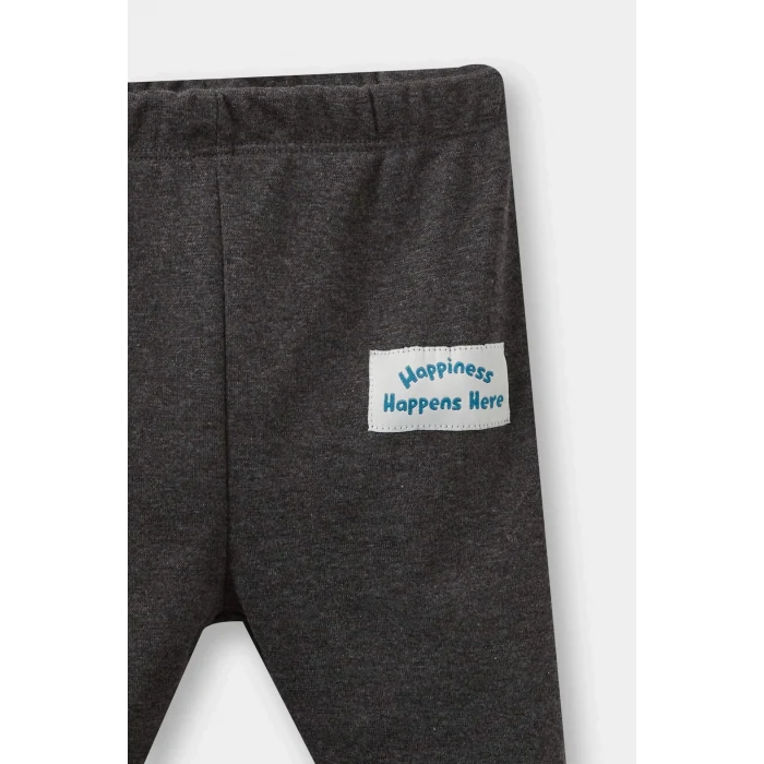 Defacto F1594A5GR52 Gri Erkek Bebek 2li Takım Araç Baskılı Sweatshirt Alt