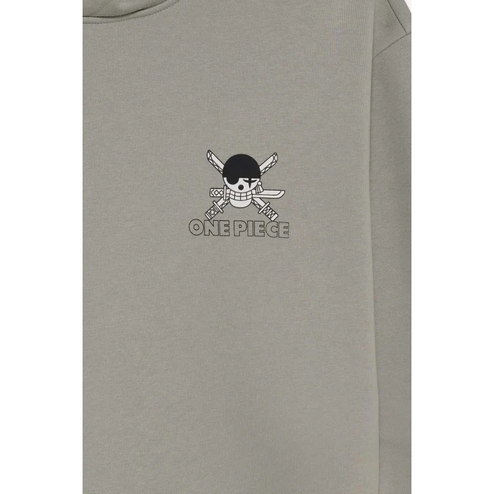 Defacto E9297AXGR454 Gri One Piece Boxy Fit Kapüşonlu Sırt Baskılı Sweatshirt