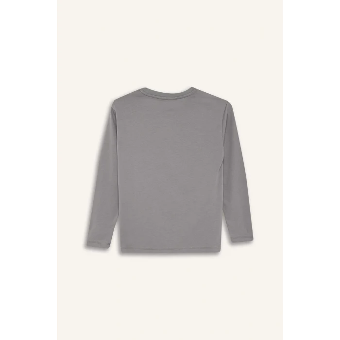 Defacto F4813A8GR455 Gri Erkek Çocuk Marvel Games Spiderman Bisiklet Yaka Uzun Kollu Tişört