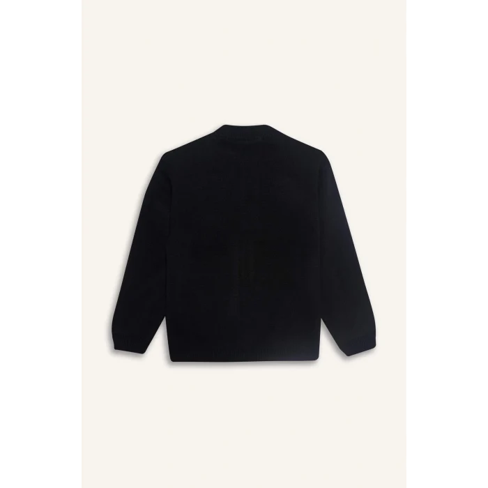 Defacto F0817A8BK27 Siyah Erkek Çocuk Yarım Fermuarlı Hırka