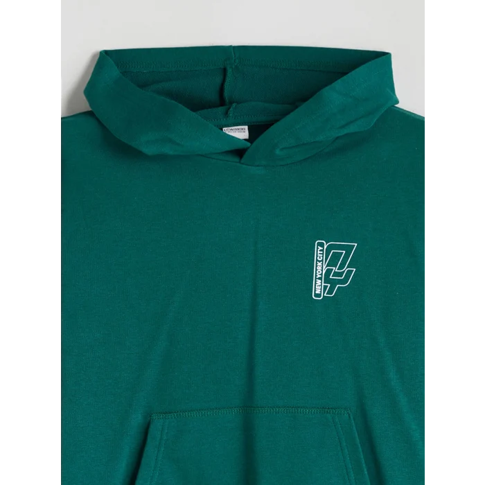 LCW Kids Yeşil Kapüşonlu Erkek Çocuk Sweatshirt