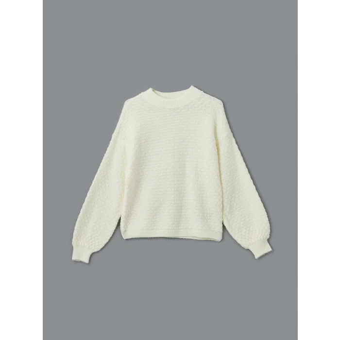 LCWAIKIKI Classic Ekru Bisiklet Yaka Kendinden Desenli Kadın Triko Kazak