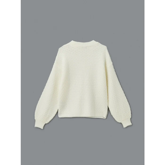 LCWAIKIKI Classic Ekru Bisiklet Yaka Kendinden Desenli Kadın Triko Kazak