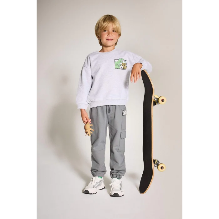 Defacto F5020A5GR396 Gri Erkek Bebek Bisiklet Yaka Dinozor Baskılı İçi Yumuşak Tüylü Sweatshirt