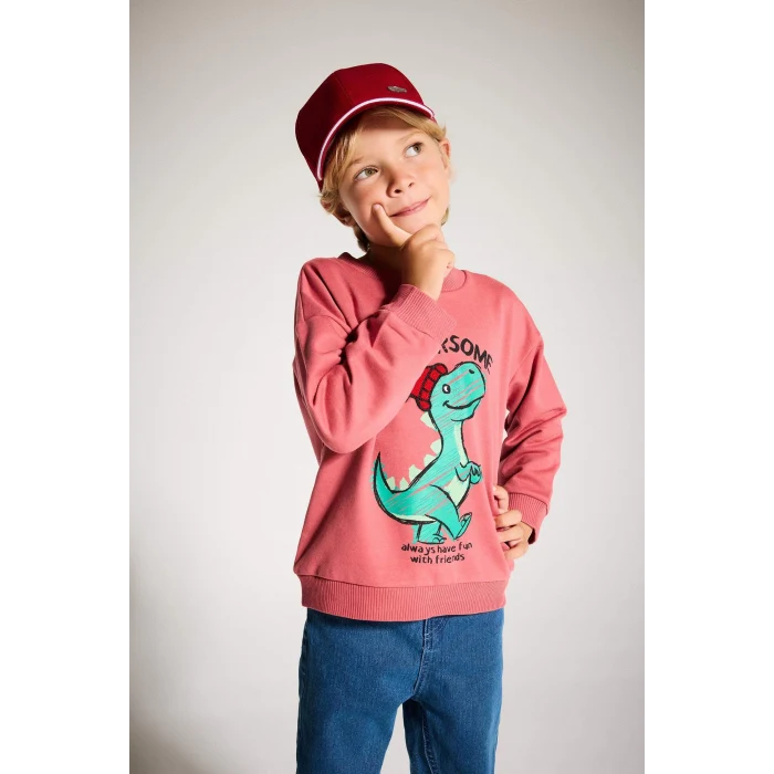 Defacto F4531A5BR116 Bordo Erkek Bebek Bisiklet Yaka Dinozor Baskılı İçi Yumuşak Tüylü Sweatshirt