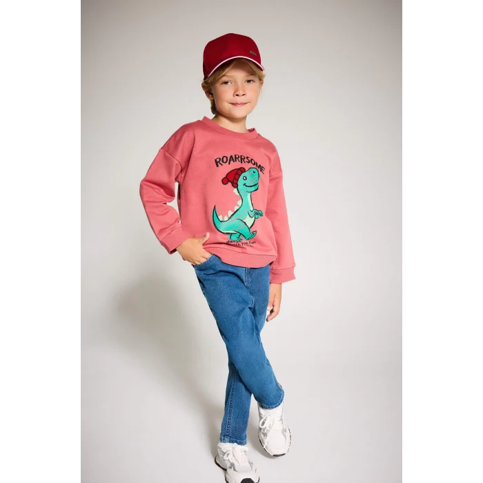Defacto F4531A5BR116 Bordo Erkek Bebek Bisiklet Yaka Dinozor Baskılı İçi Yumuşak Tüylü Sweatshirt