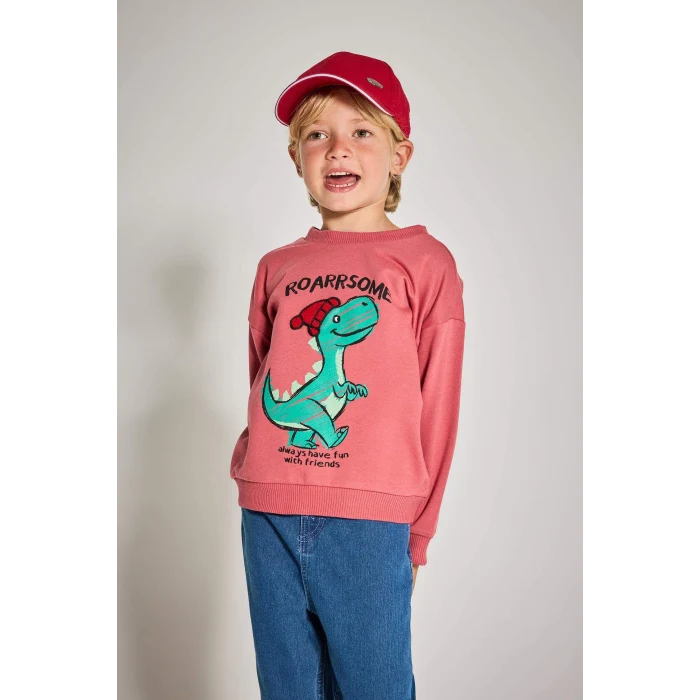 Defacto F4531A5BR116 Bordo Erkek Bebek Bisiklet Yaka Dinozor Baskılı İçi Yumuşak Tüylü Sweatshirt