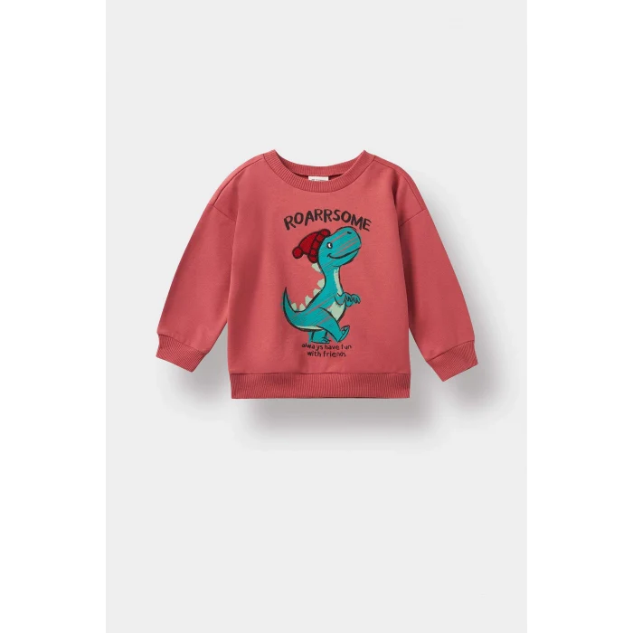 Defacto F4531A5BR116 Bordo Erkek Bebek Bisiklet Yaka Dinozor Baskılı İçi Yumuşak Tüylü Sweatshirt
