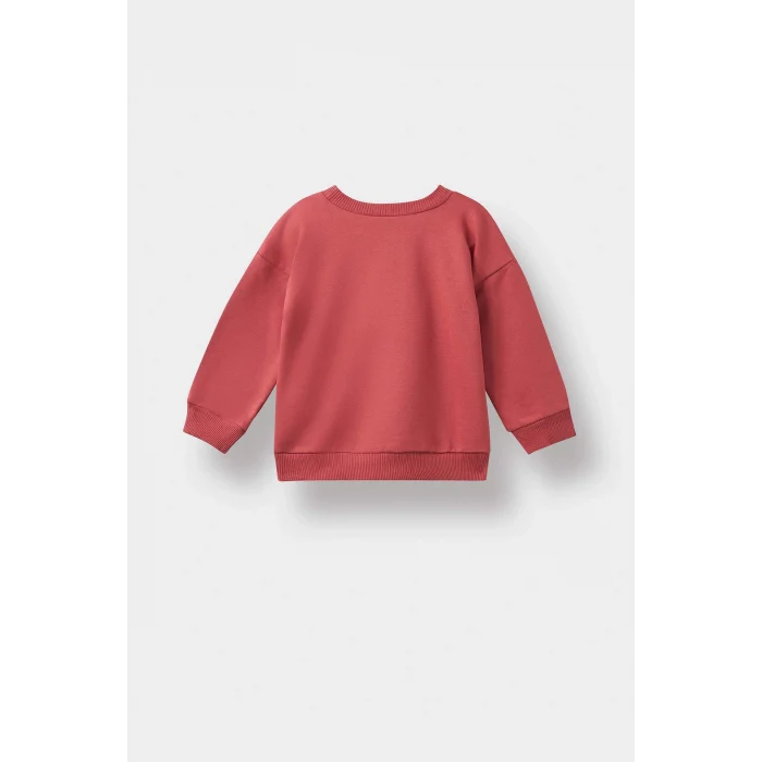 Defacto F4531A5BR116 Bordo Erkek Bebek Bisiklet Yaka Dinozor Baskılı İçi Yumuşak Tüylü Sweatshirt