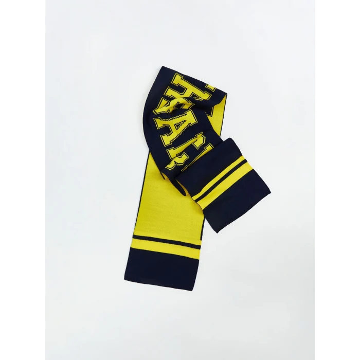 LCW ACCESSORIES Lacivert Fenerbahçe Baskılı Erkek Çocuk Atkı