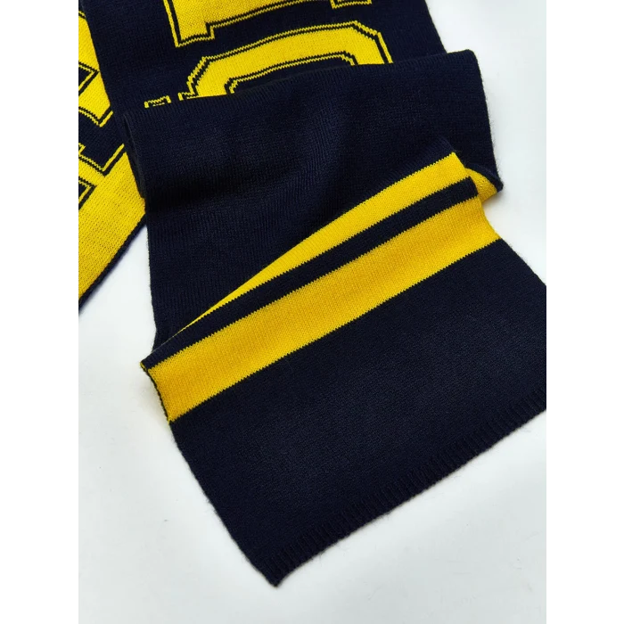 LCW ACCESSORIES Lacivert Fenerbahçe Baskılı Erkek Çocuk Atkı