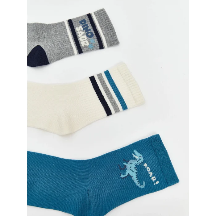 LCW Kids Karişik Desenli Erkek Çocuk Soket Çorap 5li