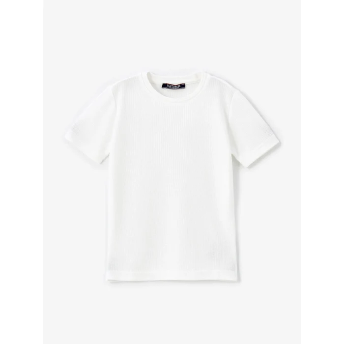 LCW Vision Ekru Bisiklet Yaka Basic Kısa Kollu Erkek Çocuk Tişört