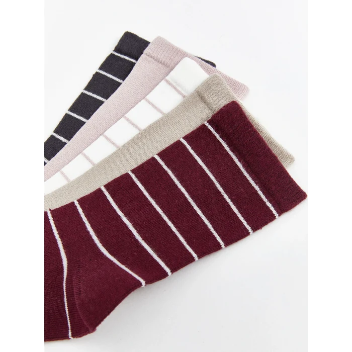 LCW DREAM Bordo Çizgili Kadın Soket Çorap 5li