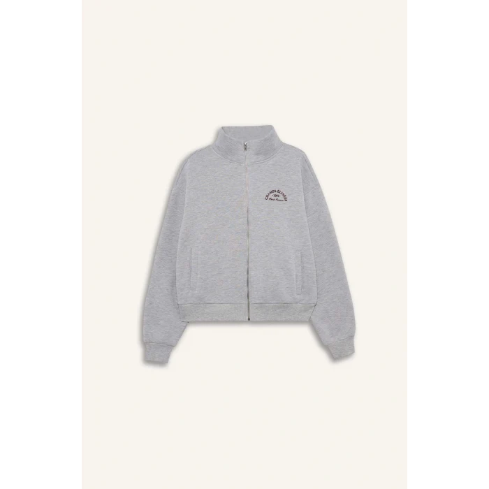 Defacto F7890AXGR93 Gri Relax Fit Yarım Balıkçı Yaka Baskılı Kalın Fermuarlı Sweatshirt