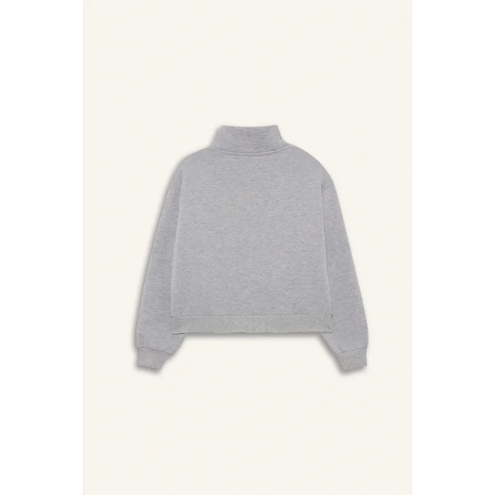 Defacto F7890AXGR93 Gri Relax Fit Yarım Balıkçı Yaka Baskılı Kalın Fermuarlı Sweatshirt