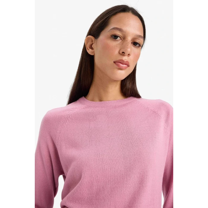 Defacto I6913AZPN141 Pembe Relax Fit Bisiklet Yaka Basic Düz Triko Kazak