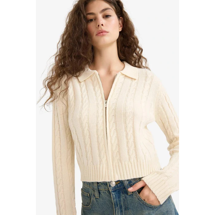 Defacto A3331AXER103 Ekru Regular Fit Polo Yaka Fermuarlı Triko Hırka