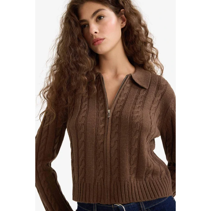 Defacto A3331AXBN319 Kahve Regular Fit Polo Yaka Fermuarlı Triko Hırka