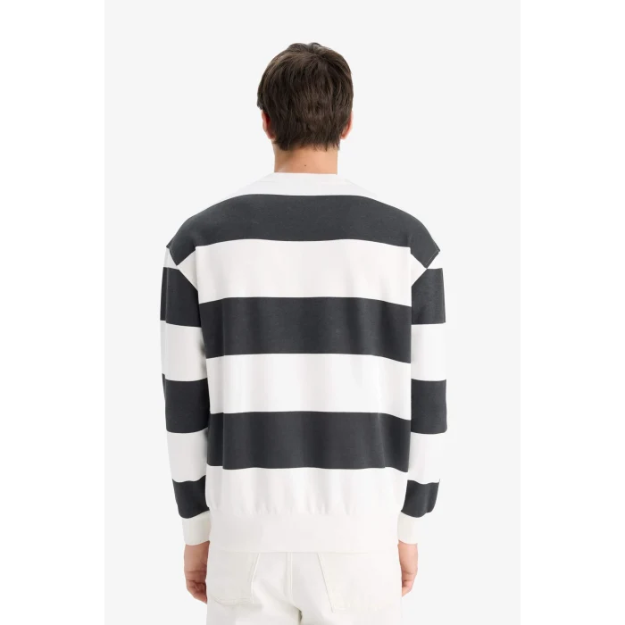 Defacto A9066AXAR104 Antrasit Boxy Fit Bisiklet Yaka Çizgili Sweatshirt