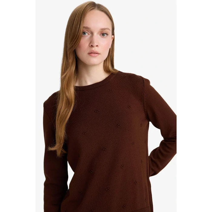 Defacto F4084AXBN320 Kahve Regular Fit Bisiklet Yaka Triko Kazak