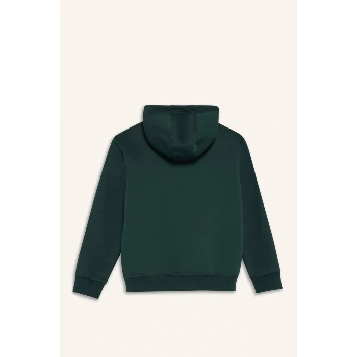 Defacto E9596A8GN245 Yeşil Erkek Çocuk Kapüşonlu Baskılı İçi Yumuşak Tüylü Sweatshirt