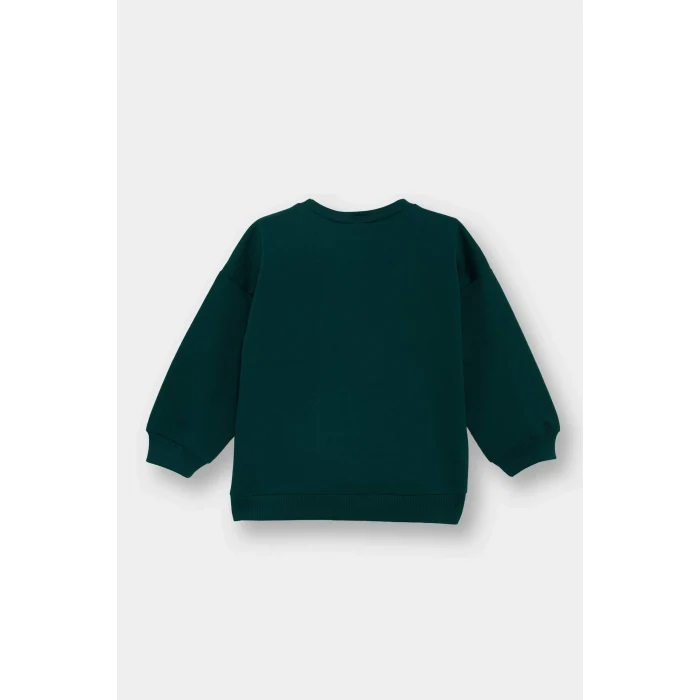 Defacto E9242A5GN671 Yeşil Erkek Bebek Bisiklet Yaka Baskılı İçi Yumuşak Tüylü Sweatshirt