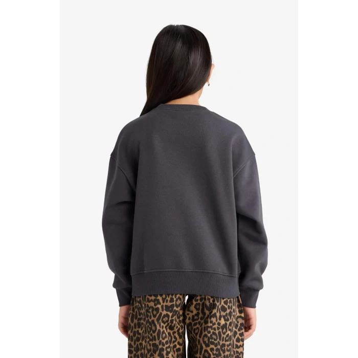 Defacto E6780A8AR138 Antrasit Kız Çocuk Relax Fit Bisiklet Yaka Baskılı İçi Yumuşak Tüylü Sweatshirt
