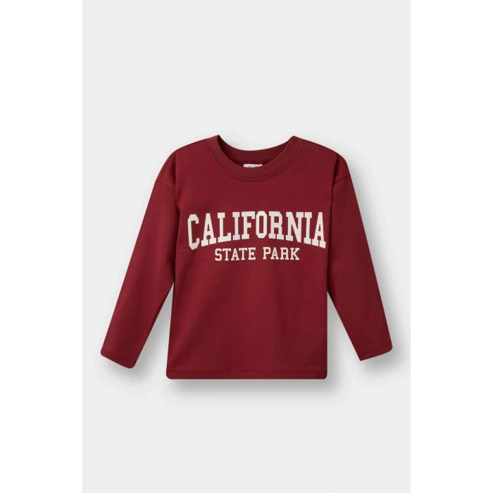 Defacto F3401A5AR1 Antrasit Erkek Bebek Bisiklet Yaka Baskılı 2li Uzun Kollu Tişört