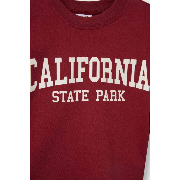 Defacto F3401A5AR1 Antrasit Erkek Bebek Bisiklet Yaka Baskılı 2li Uzun Kollu Tişört