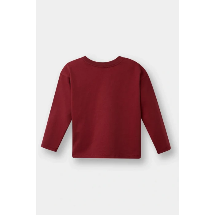 Defacto F3401A5AR1 Antrasit Erkek Bebek Bisiklet Yaka Baskılı 2li Uzun Kollu Tişört