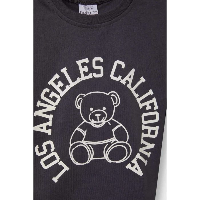 Defacto F3401A5AR1 Antrasit Erkek Bebek Bisiklet Yaka Baskılı 2li Uzun Kollu Tişört