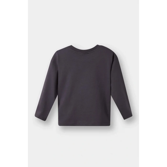 Defacto F3401A5AR1 Antrasit Erkek Bebek Bisiklet Yaka Baskılı 2li Uzun Kollu Tişört