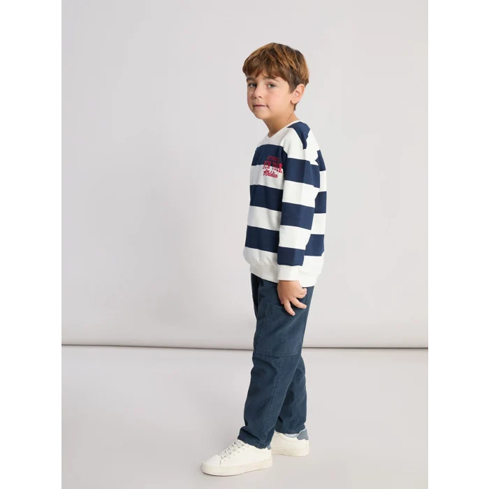 LCW Kids Ekru Bisiklet Yaka Çizgili Erkek Çocuk Sweatshirt