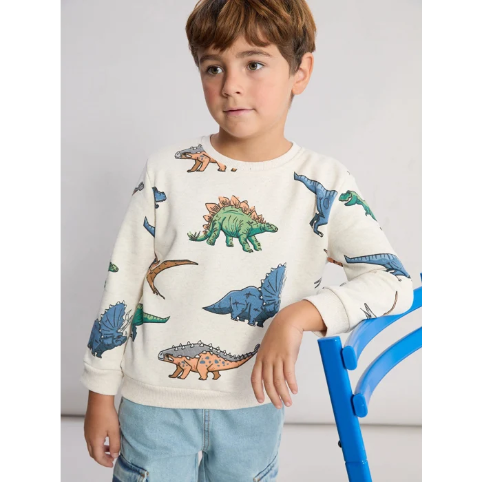 LCW Kids Karışık Dinazor Baskılı Erkek Çocuk Kalın Sweatshirt