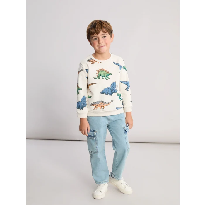 LCW Kids Karışık Dinazor Baskılı Erkek Çocuk Kalın Sweatshirt