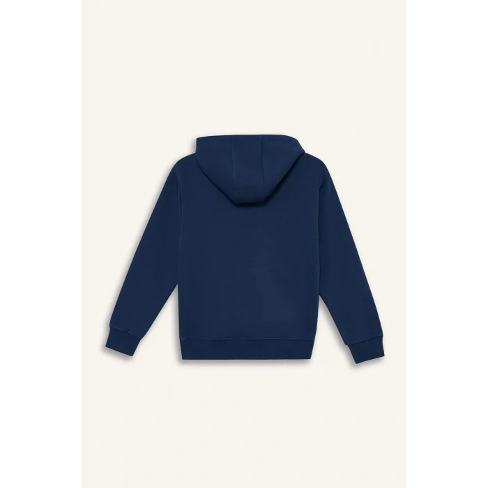 Defacto E9599A8BE829 Mavi Erkek Çocuk Kapüşonlu Baskılı İçi Yumuşak Tüylü Sweatshirt