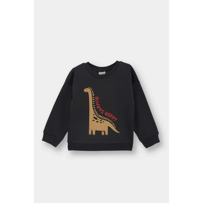 Defacto E9230A5AR1 Antrasit Erkek Bebek Bisiklet Yaka Dinozor Baskılı İçi Yumuşak Tüylü Sweatshirt