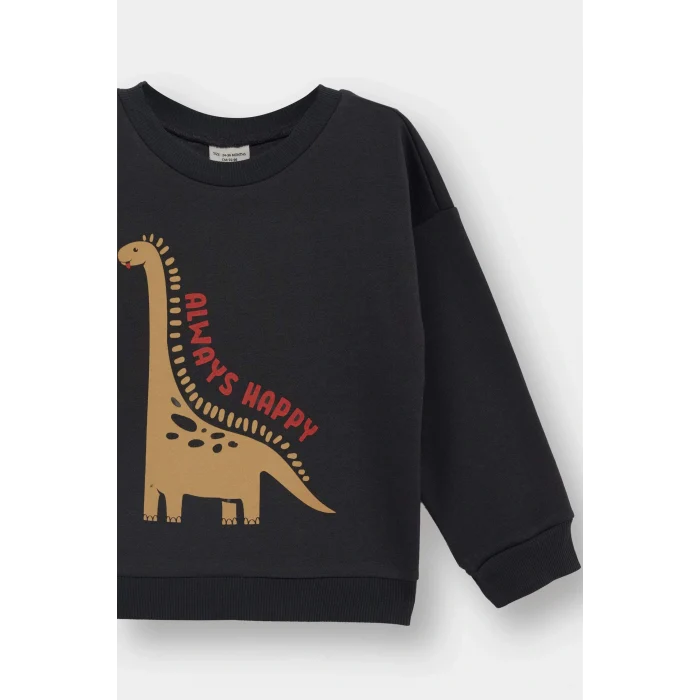 Defacto E9230A5AR1 Antrasit Erkek Bebek Bisiklet Yaka Dinozor Baskılı İçi Yumuşak Tüylü Sweatshirt