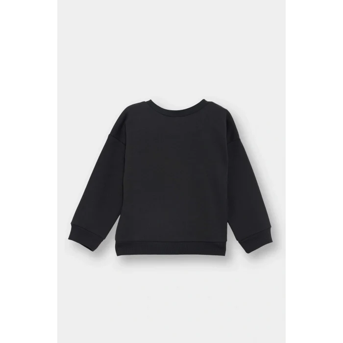 Defacto E9230A5AR1 Antrasit Erkek Bebek Bisiklet Yaka Dinozor Baskılı İçi Yumuşak Tüylü Sweatshirt