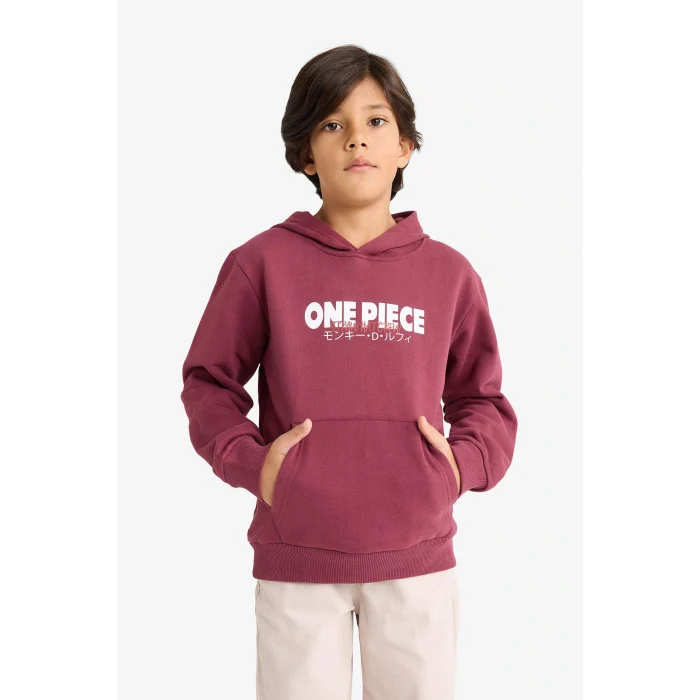 Defacto F9917A8BR170 Bordo Erkek Çocuk One Piece Kapüşonlu İçi Yumuşak Tüylü Sırt Baskılı Sweatshirt