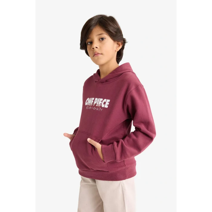 Defacto F9917A8BR170 Bordo Erkek Çocuk One Piece Kapüşonlu İçi Yumuşak Tüylü Sırt Baskılı Sweatshirt