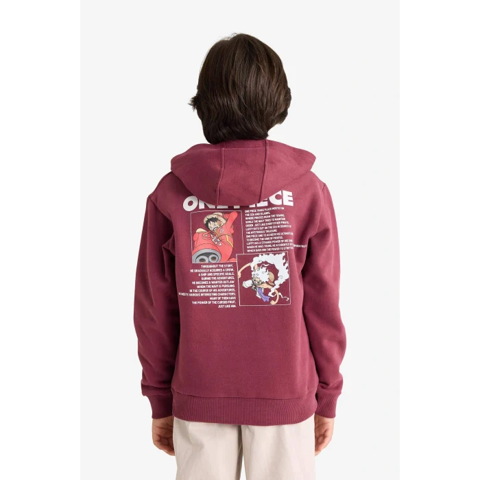 Defacto F9917A8BR170 Bordo Erkek Çocuk One Piece Kapüşonlu İçi Yumuşak Tüylü Sırt Baskılı Sweatshirt